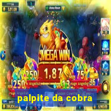 palpite da cobra